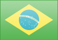 UKTI Brazil Organisation logo